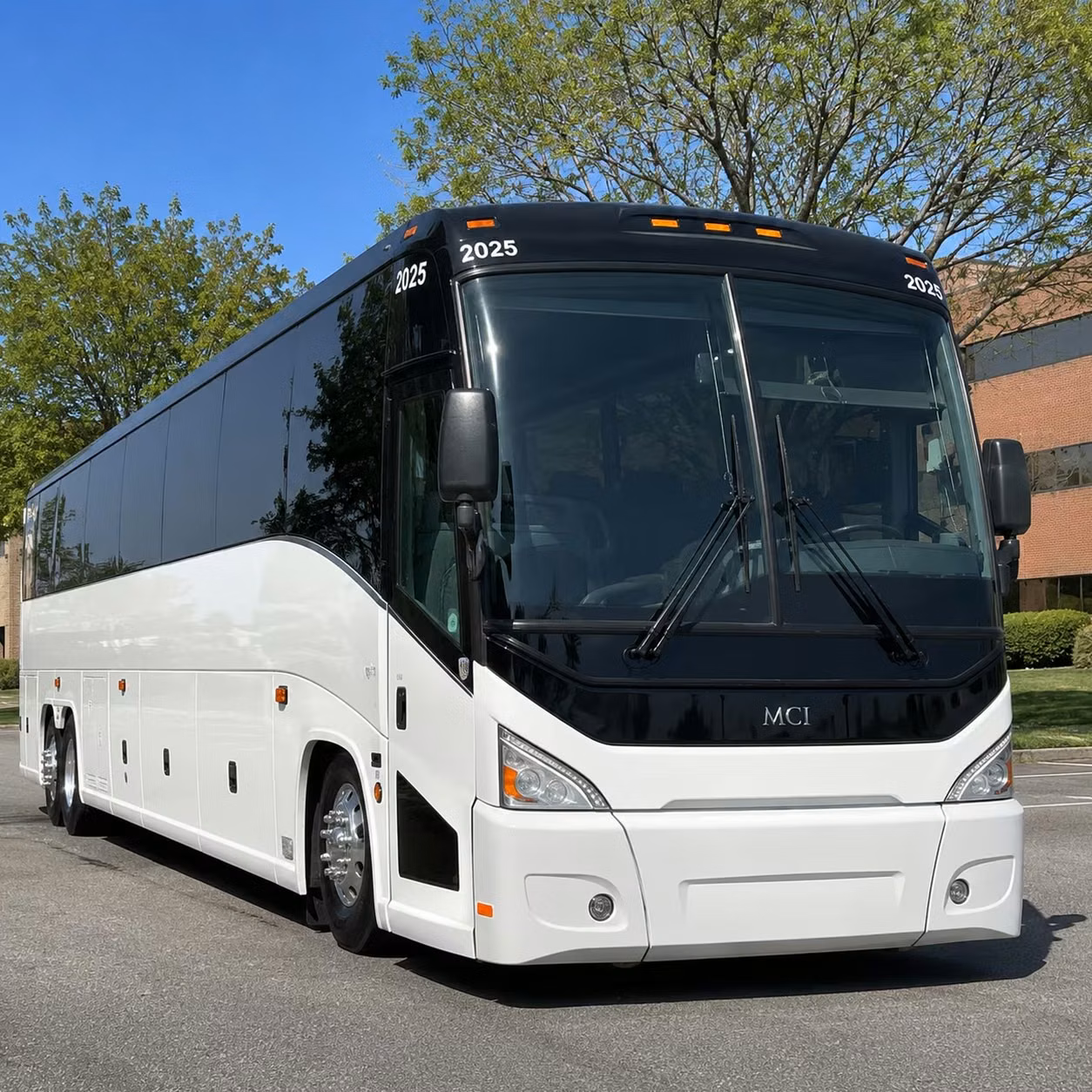 every erie music festival deserves a private bus rental your group will actually love